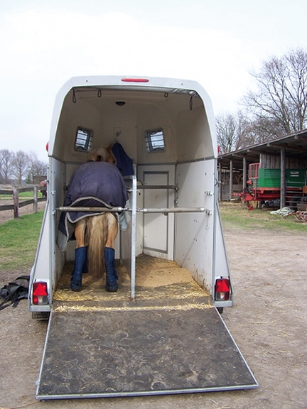 Vergrößerung des Bildes für Ein Pferd auf einem Transporter, mit einer Stange gesichert..