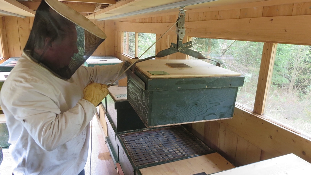 Vergrößerung des Bildes für Imker bewegt Bienenkasten mithilfer einer Hebevorrichtung, die über eine Schiene an der Decke läuft.