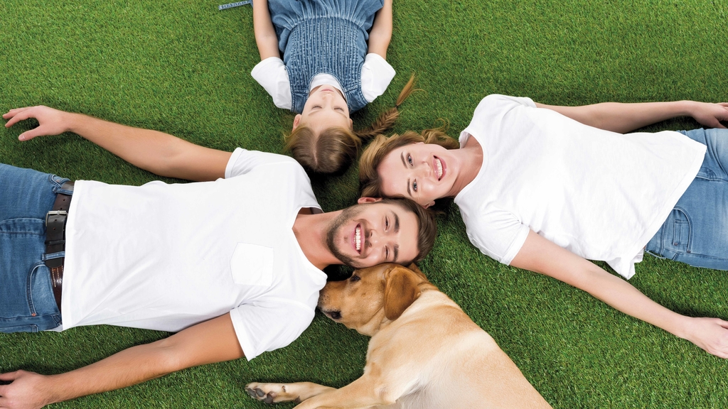 Vergrößerung des Bildes für Familie mit Hund sternförmig im Gras liegend.