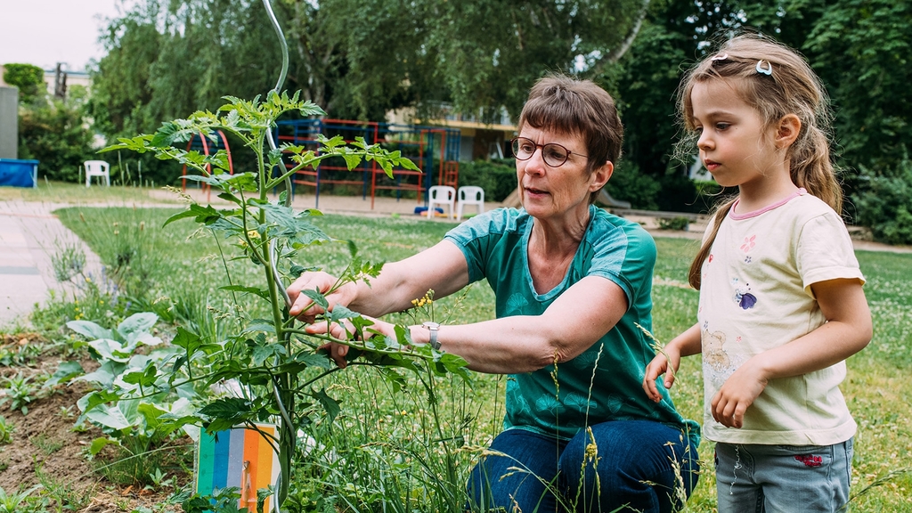 Vergrößerung des Bildes für Ältere Dame erklärt einem Kindergartenkind am Gemüsebeet die Pflege einer Tomatenpflanze.