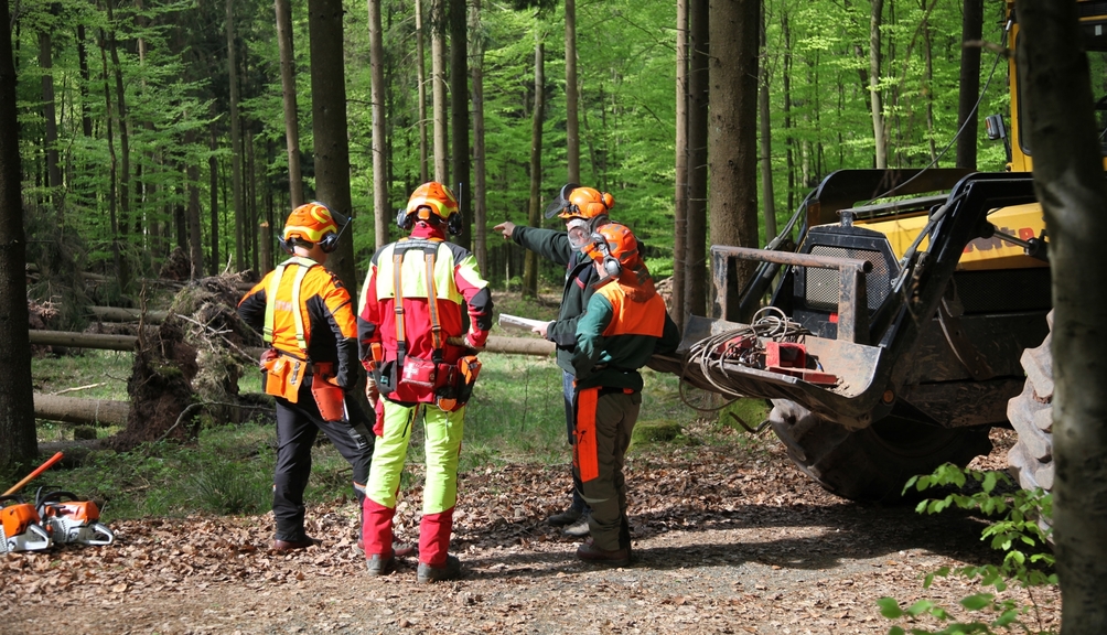 Vergrößerung des Bildes für Drei Forstarbeiter in PSA werden in ihre Arbeit im Wald eingewiesen. Daneben steht die Forstmaschine..