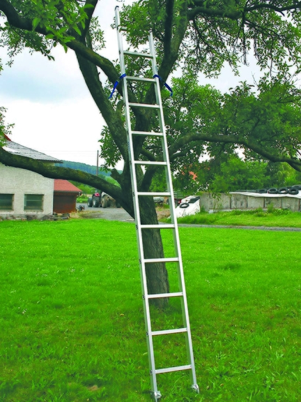 Vergrößerung des Bildes für Eine Anlegeleiter ist mit Sicherungsseilen und Metallspitzen gesichert an einen Baum angelehnt..