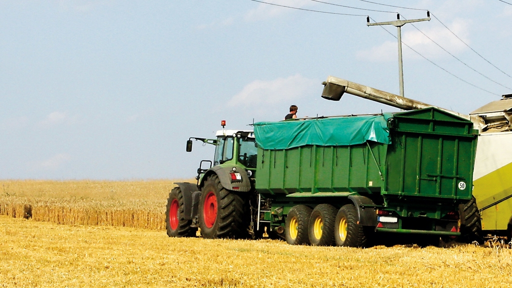 Vergrößerung des Bildes für Ein grüner Schlepper lädt Getreide in einen grünen Transporter auf einem Feld..