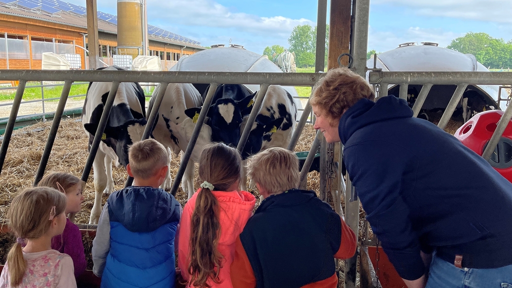 Vergrößerung des Bildes für Kita-Kinder stehen vor einem Kuhgatter im Stall und beobachten die Kälber. .